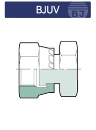 BJUV 메인페이지 미리보기