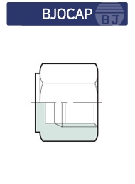 BJOCAP 메인페이지 미리보기