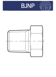 BJNP 메인페이지 미리보기